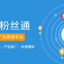 上?；鹚倬W絡科技股份 數據科技領域的技術服務先鋒